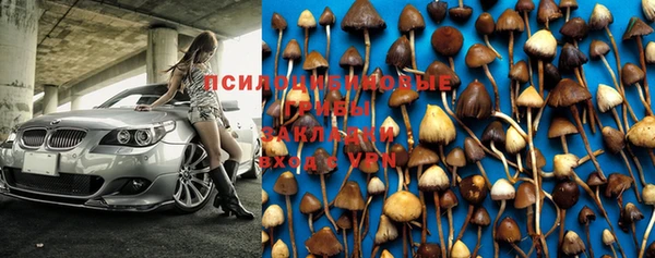 дмт Горнозаводск