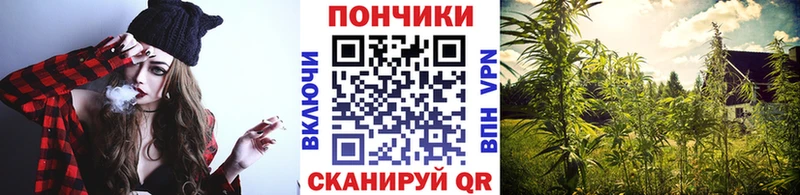 Конопля тримм  Дигора 